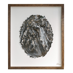 Contour Map Collection